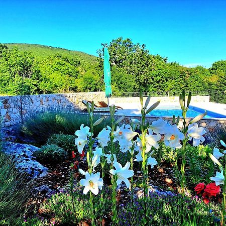 Relaxing Dalmatian House In Village Ljubitovica Bagian luar foto
