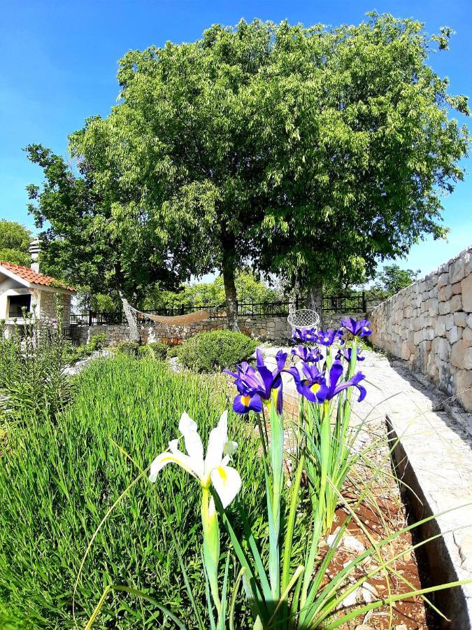 Relaxing Dalmatian House In Village Ljubitovica Bagian luar foto