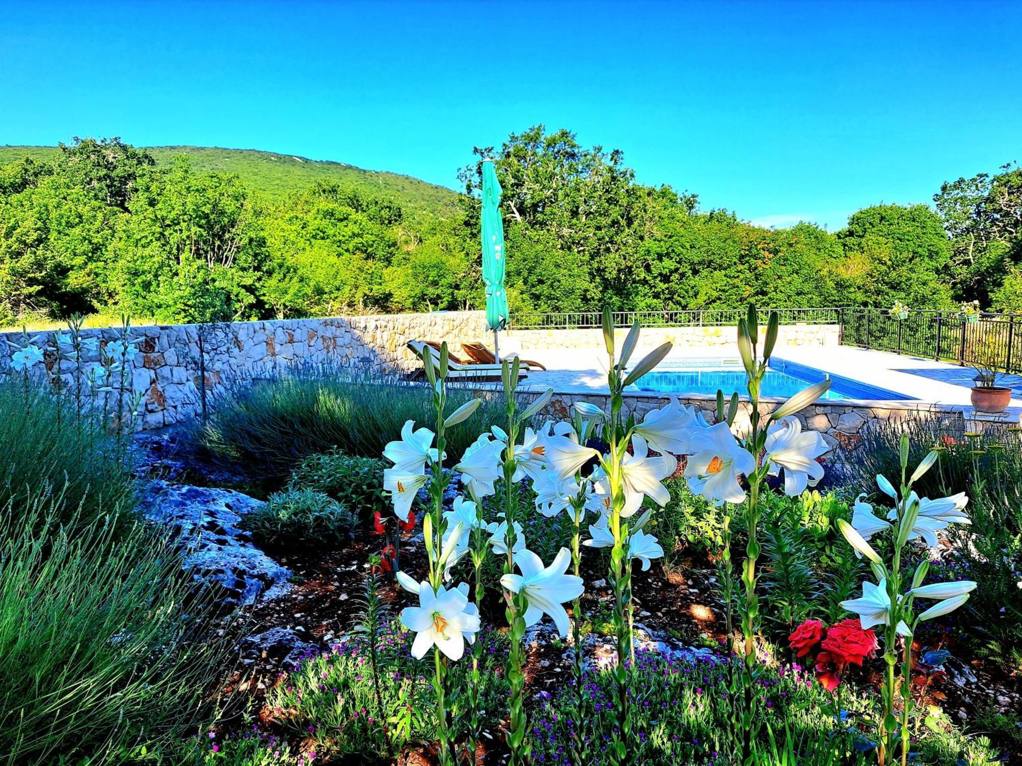 Relaxing Dalmatian House In Village Ljubitovica Bagian luar foto