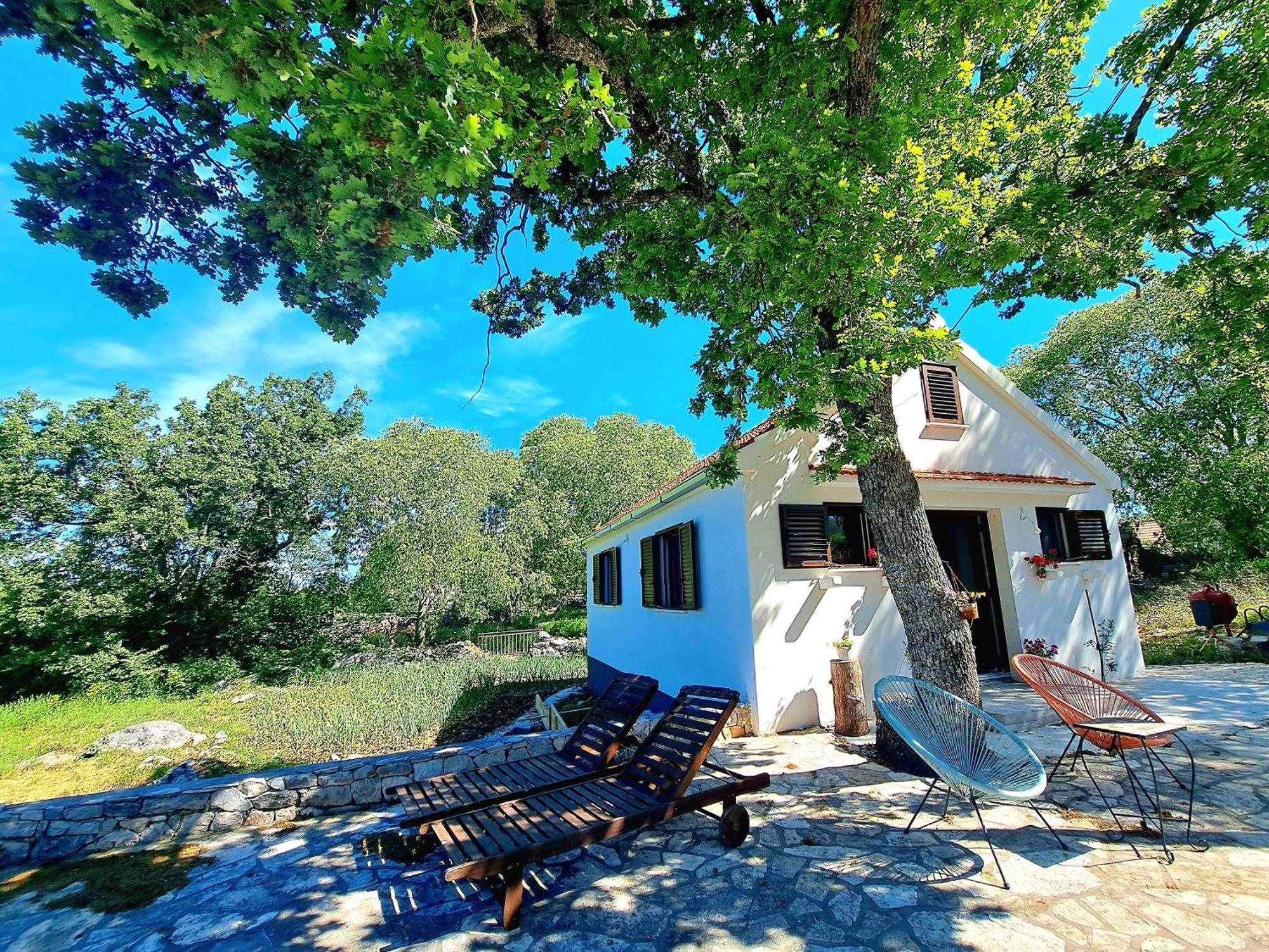 Relaxing Dalmatian House In Village Ljubitovica Bagian luar foto